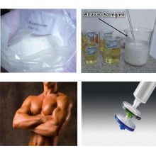 Effective Lean Muscle Gainning Oral Steroid Liquid Anavar 50 Mg/Ml